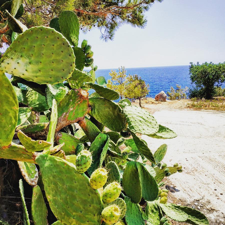 Euphoria - South Crete Villas 아클리아 외부 사진